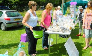 Stevenage  Dog Show 2014 011